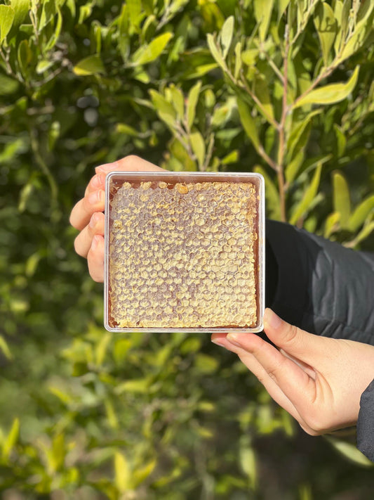 Honey Comb